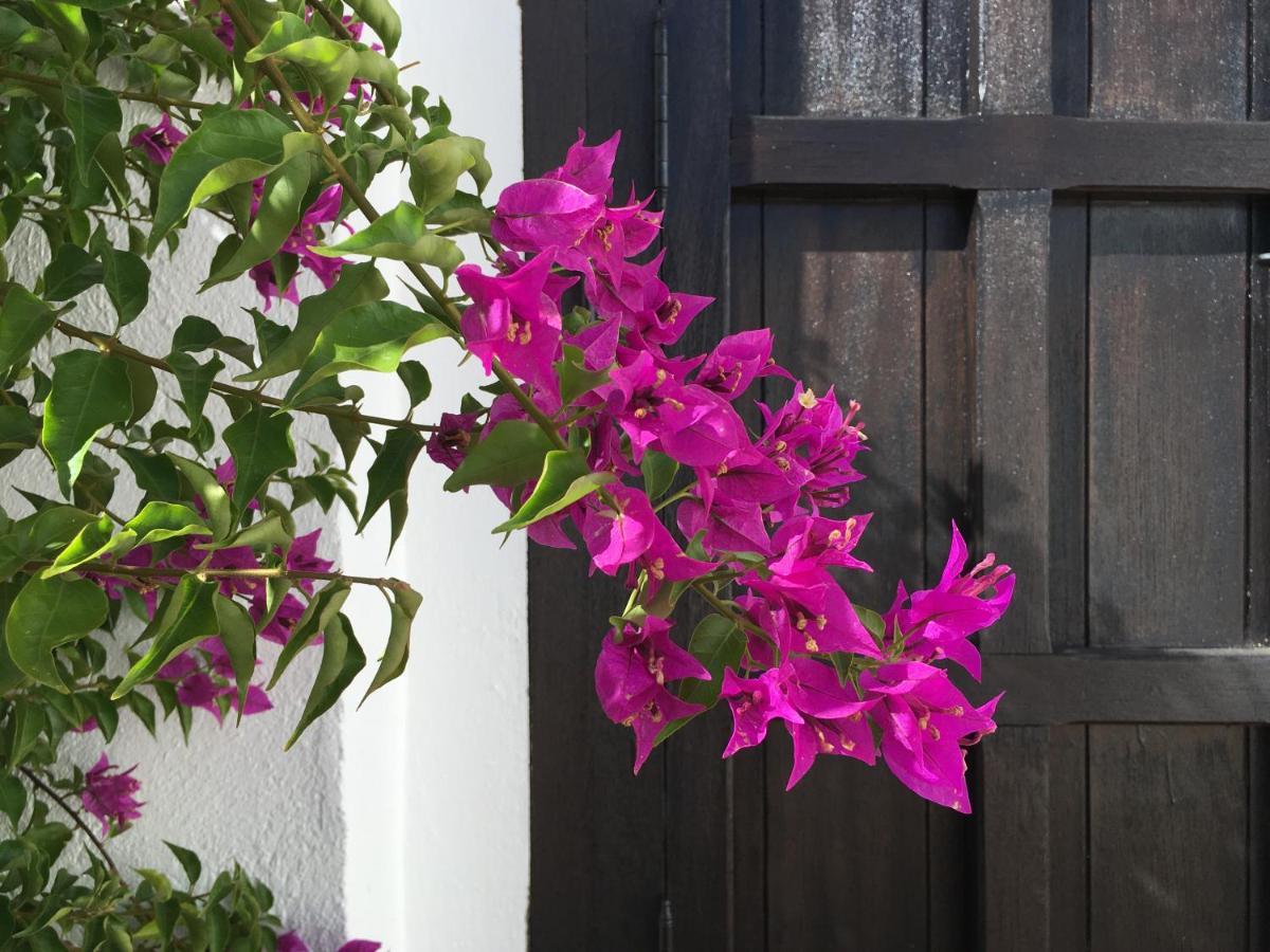 Villa De La Luz Luxury Guesthouse 埃尔波提尔 外观 照片
